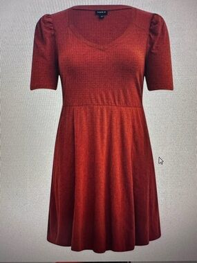 Torrid Rusty Orange Puff Sleeve dress